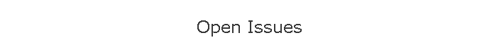 Open Issues