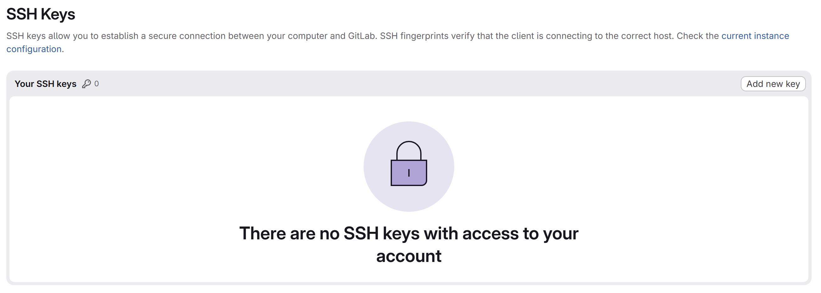 SSH Keys page, empty, with an Add new key button