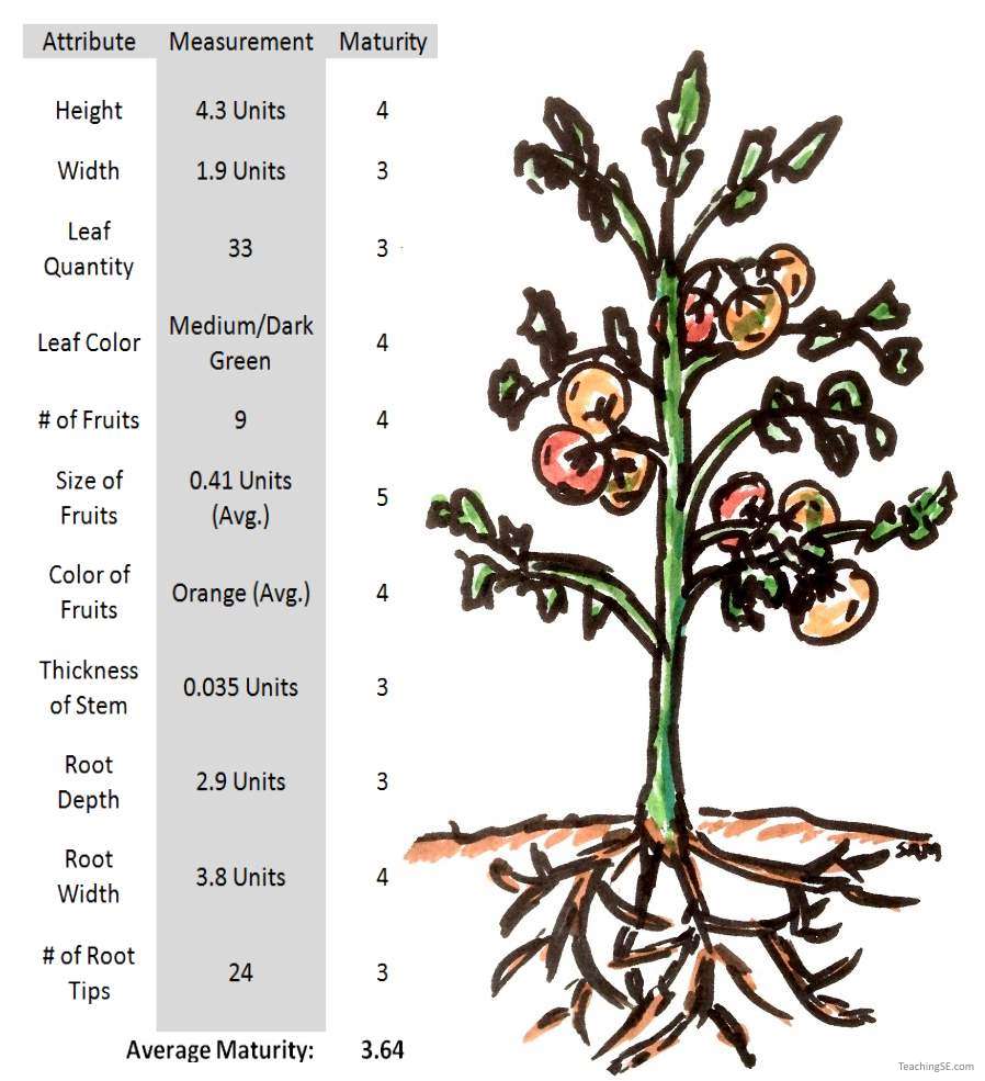 Plant Drawing with a chart of some quantetative elements and values