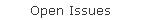 Open Issues