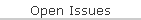 Open Issues